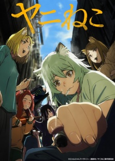 Chainsmoker Cat Chainsmoker Cat
